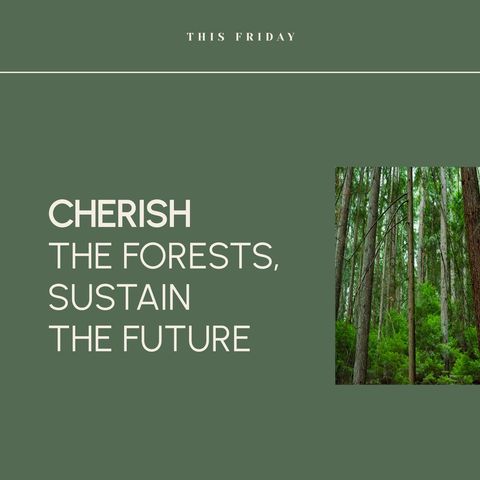 Forestry Conservation Awareness Trees Sustainability - Download Free Stock Templates Pikwizard.com