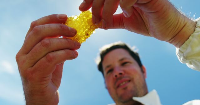 Beekeeper Examining Honeycomb Outdoors on Sunny Day - Download Free Stock Images Pikwizard.com