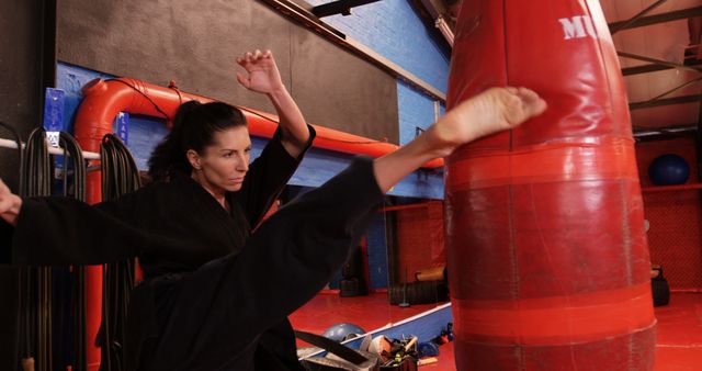  Female martial artist practicing powerful high kick in a gym. She is focused and wears a black uniform, demonstrating strength and flexibility. This image is ideal for promoting martial arts classes, fitness routines, female empowerment, or showcasing martial arts techniques.