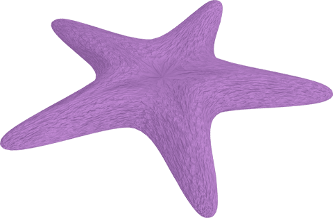 Purple starfish on transparent background isolated illustration
