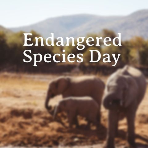Elephant Family Celebrating Endangered Species Day - Download Free Stock Templates Pikwizard.com