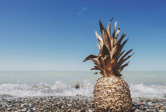 Image showcasing a golden pineapple placed on a pebbly beach, with the waves of the ocean in the background and a clear blue sky. Ideal for use in vacation advertisements, tropical-themed promotions, nature-related content, and relaxation or travel blogs. Evokes a sense of warmth, tranquility, and exotic getaway.