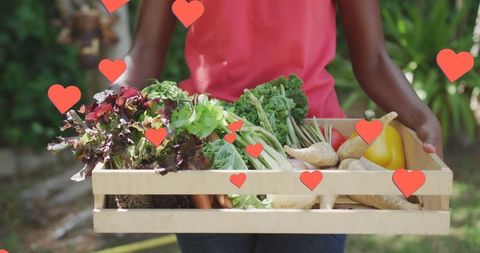 Abundant Harvest: African American Farmer with Fresh Vegetables in Garden