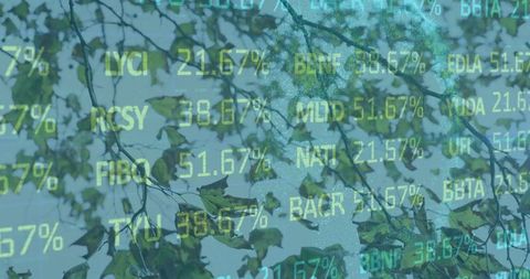 Nature and Finance Blend with Stock Market Data Visualization