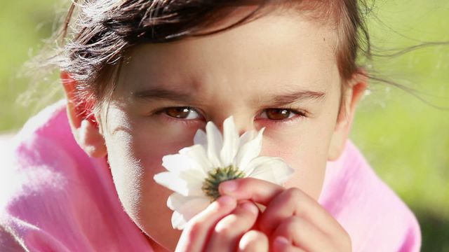 Lovely video of a young girl peacefully smelling a daisy in the countryside. Perfect for concepts of innocence, childhood joy, connection with nature, outdoor activities, springtime. Suitable for use in blogs, educational materials, advertising related to family and lifestyle.