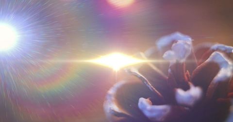 Magical glow over christmas pinecone decorations