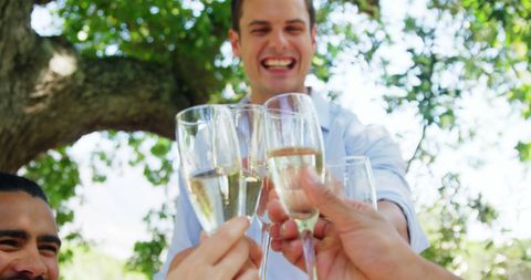 Friends Toasting Champagne Outdoors Under Trees - Download Free Stock Images Pikwizard.com