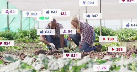 Eco-Friendly Gardening: Teamwork in Organic Greenhouse Planting