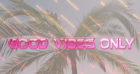 Tropical Palm Tree with Good Vibes Only Text Overlay - Download Free Stock Images Pikwizard.com
