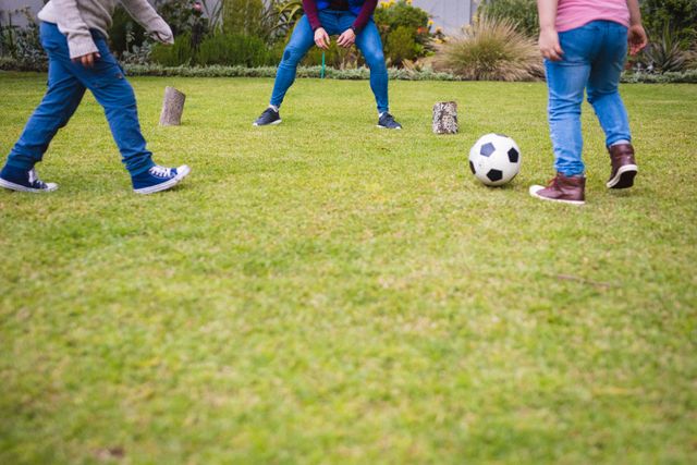 Father and two sons playing football together in a garden. Ideal for concepts of family bonding, outdoor activities, childhood fun, and sports. Can be used in advertisements, blogs, and articles about family life, parenting, and healthy lifestyles.