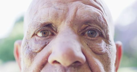 Close-up Portrait of Senior Man in Outdoor Garden