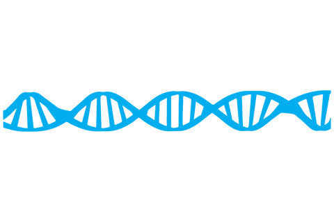digital blue dna strand on transparent background - Download Free Stock Videos Pikwizard.com