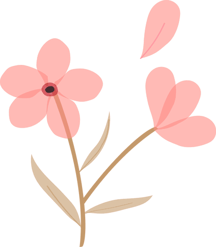 Minimalist Coral Pink Flower on Transparent Background