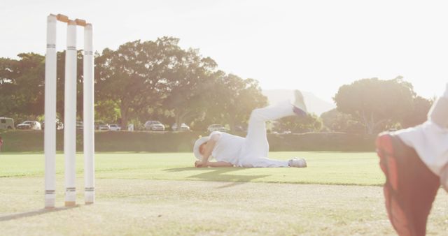 Cricketer Diving on Field Near Wickets During Sunset - Download Free Stock Images Pikwizard.com