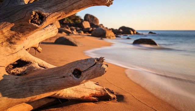Golden-hour driftwood on sandy shore with silky waves and rounded granite boulders