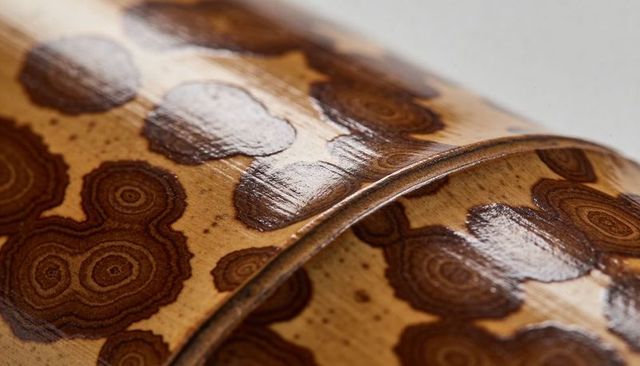 Polished burl wood vessel with concentric grain and glossy lacquer finish, macro