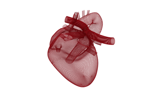 digital red transparent 3d human heart model isometric - Download Free Stock Videos Pikwizard.com