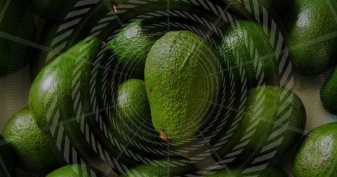 Fresh Raw Avocados Stacked in Organic Market Display