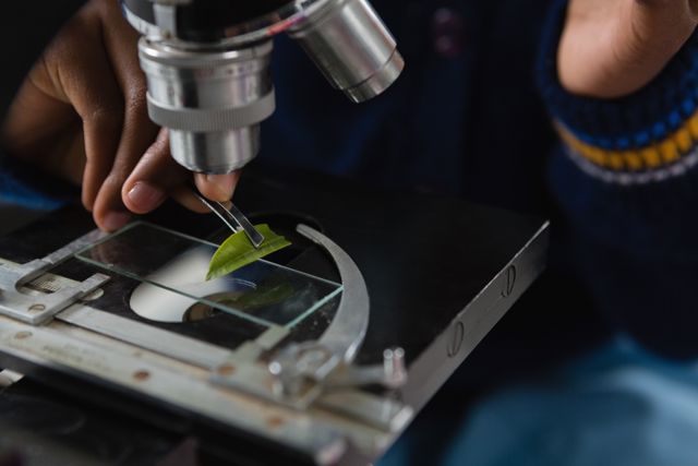Schoolgirl examining a leaf under a microscope in a science lab. Ideal for educational content, science and biology resources, STEM promotion, and school-related materials.