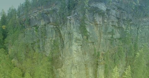 Rocky Mountain Cliff with Verdant Greenery on Sunny Day - Download Free Stock Images Pikwizard.com