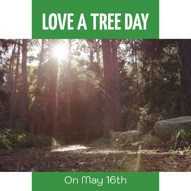 Love A Tree Day Poster with Sunlight Streaming Through Trees in Forest - Download Free Stock Templates Pikwizard.com