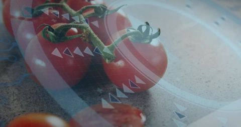 Vine Cherry Tomatoes with Futuristic Holographic Overlay for Healthy Food and Cooking