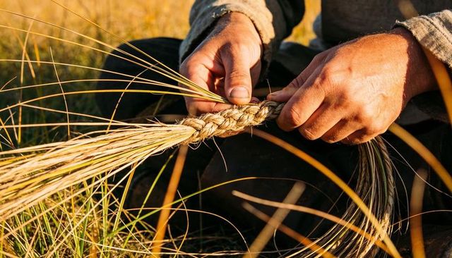 Close-up of hands braiding rustic straw rope in sunlit meadow, artisan weaving fibers