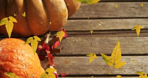 Autumn Pumpkins with Falling Leaves on Wooden Surface - Download Free Stock Images Pikwizard.com