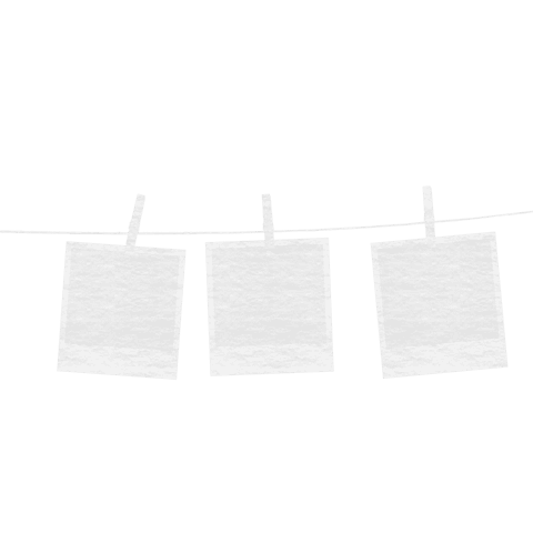 Blank photo frames on transparent background with clothespins