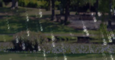 Falling binary rain overlaying sunlit park with bokeh blossoms, digital data stream