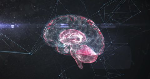 Digital Brain Amongst Connectivity Network in Futuristic Setting - Download Free Stock Images Pikwizard.com