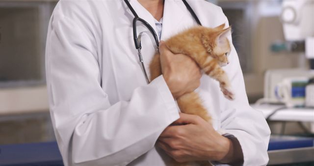 Image depicts a veterinarian in a lab coat holding an orange kitten in an animal clinic. Suitable for articles or brochures about veterinary care, animal health, pet adoption, or clinic advertisements. Can be used in promotional materials for veterinary services and education regarding pet wellness.
