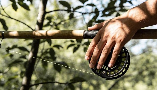 Resting hand on bamboo fly rod with fly reel and line in sunlit woodland canopy, dappled light