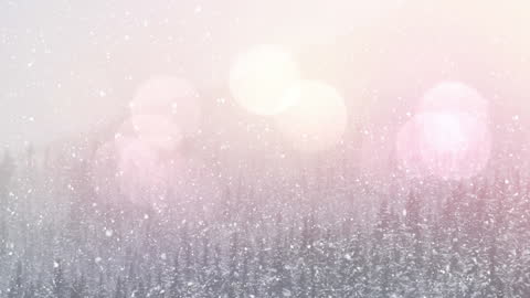 Soft Pink Bokeh Over Snowy Winter Forest Landscape