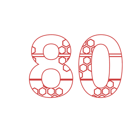80th Birthday Number with Decorative Pattern on Transparent Background - Download Free Stock Videos Pikwizard.com