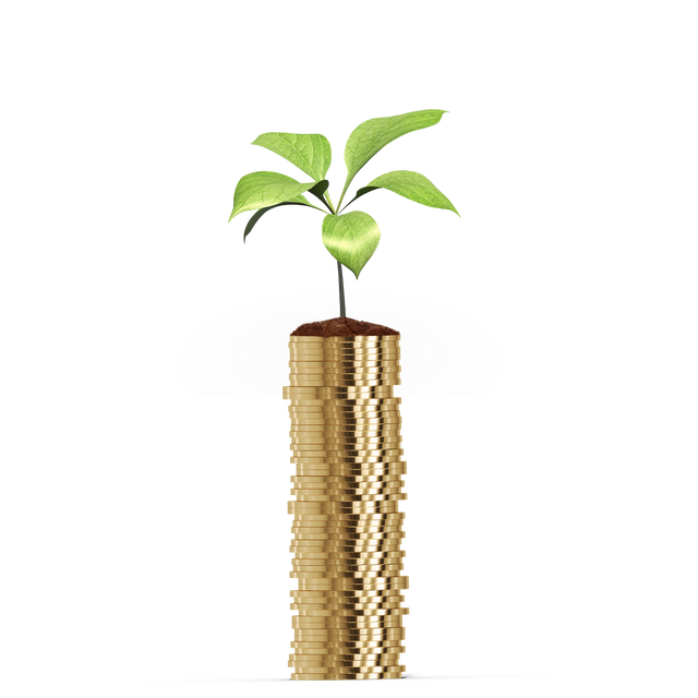 Young Plant Growing on Transparent Stack of Gold Coins - Download Free Stock Videos Pikwizard.com