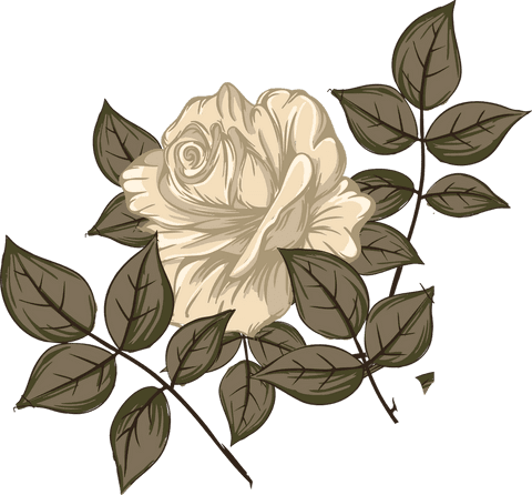 Elegant Cream Rose with Leaves on Transparent Background