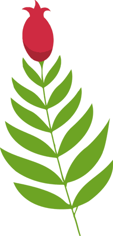 Vibrant green stem with red floral bud on transparent