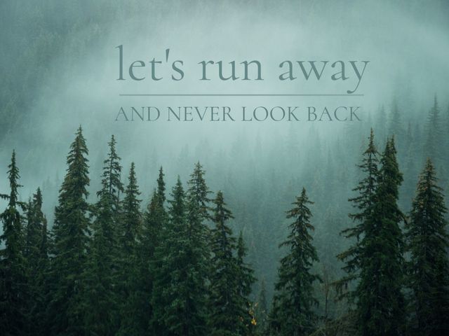 A misty forest scene with towering evergreens shrouded in fog, overlaid with the text 'let's run away and never look back'. Perfect for use in blogs, social media posts, event invitations, wilderness campaigns, motivational posters, and as a scenic background for projects that invoke mystery, adventure, and inspiration.