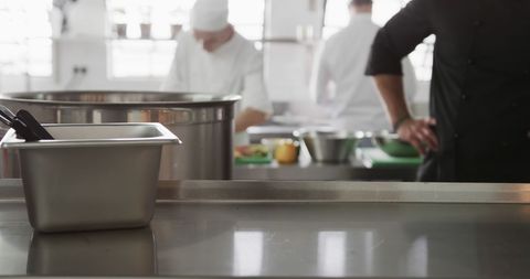 Chefs Busy in Professional Kitchen Preparing Dishes