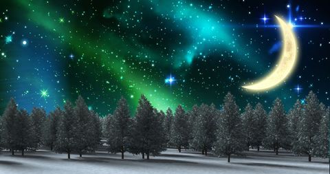 Enchanting Winter Landscape with Crescent Moon and Stars