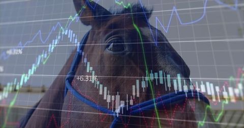 Horse with Financial Stock Charts Illustration