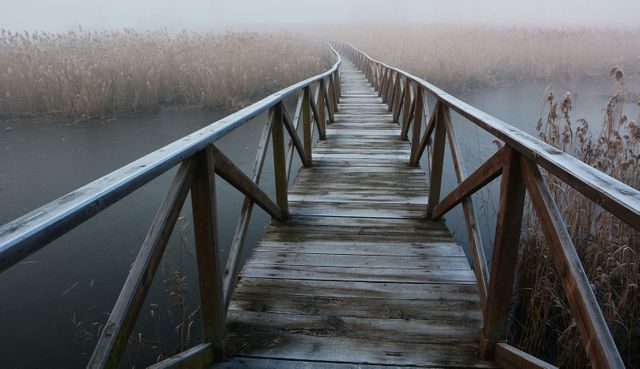 This serene image shows a wooden pathway extending into fog over a marshy area, creating a sense of tranquility and mystery. Ideal for concepts related to mindfulness, solitude, exploration, and nature retreats. Also suitable for themes in travel brochures, meditation blogs, and environmental conservation.