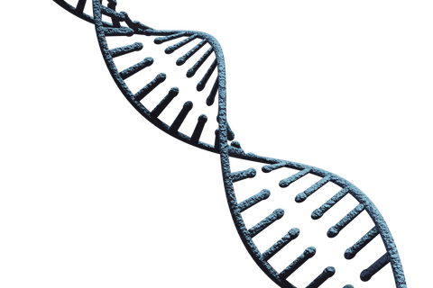 transparent dna strand illustration on isolated background - Download Free Stock Videos Pikwizard.com