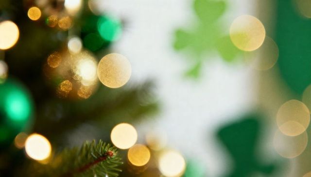 Evergreen sprig glowing with green and gold bokeh lights for festive decor