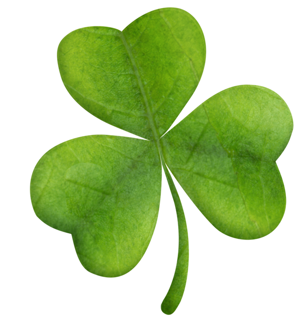 Green Clover on Transparent Background Isolated Vector Illustration - Download Free Stock Videos Pikwizard.com