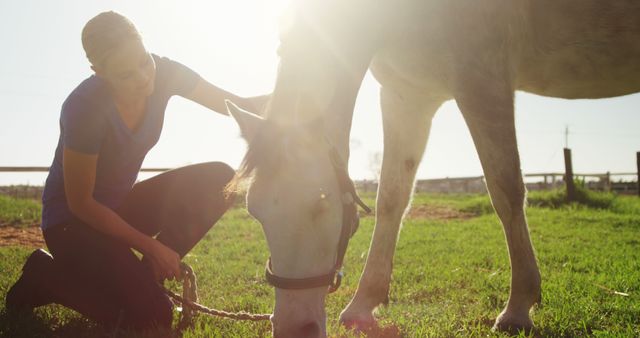 A young Caucasian woman is tending to a horse in a sunlit field, with copy space. Her caring gesture towards the animal reflects a bond between human and horse.