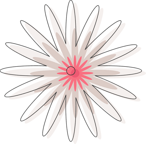 Elegant transparent floral motif with pink petal design