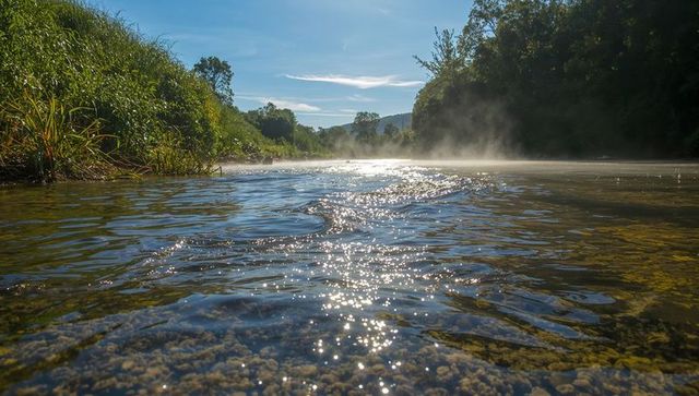 Flowing shallow river sparkling under morning sun with rising mist
