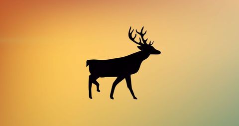 Deer silhouette against colorful sunset gradient